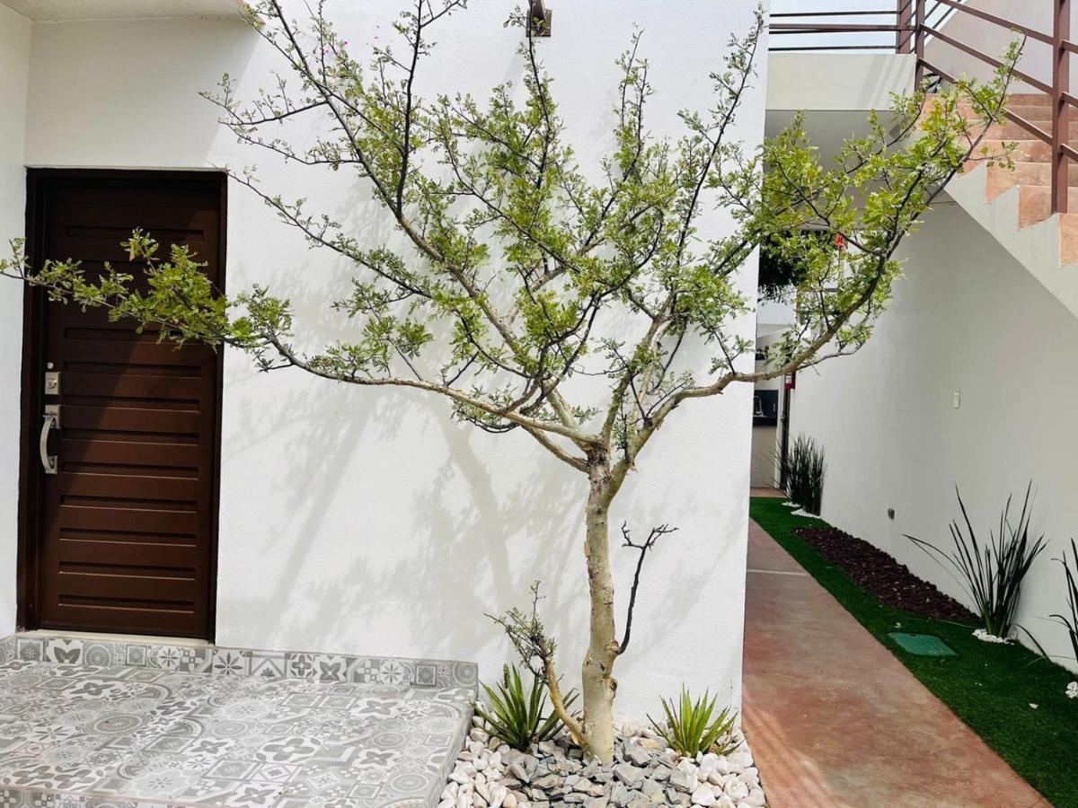 Casa Maya La Paz Exterior foto